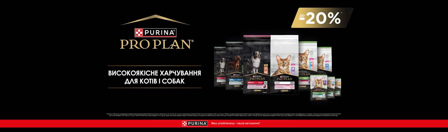 Pro Plan -20%