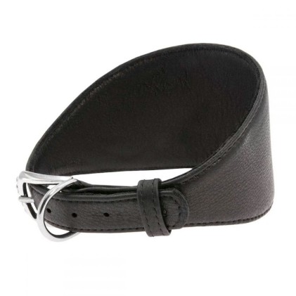 CoLLar Waudog Кожаный ошейник без украшений для борзых собак (черный)