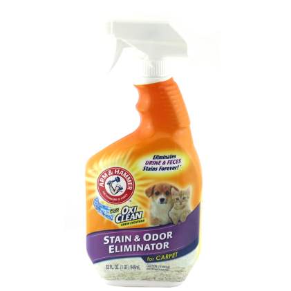 Arm and Hammer Stain & Odor Eliminator Уничтожитель пятен и запаха