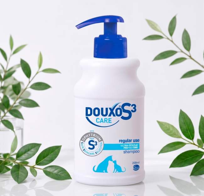 Ceva Douxo S3 Care Лікувальний шампунь для забезпечення та