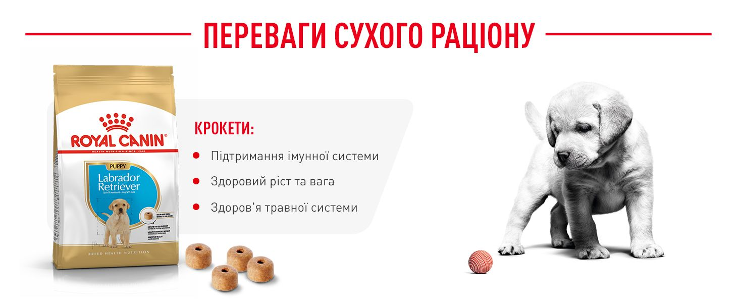 Корм Роял Канін для цуценят лабрадора (Royal Canin Labrador
